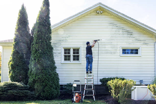 Best Roof Power Washing Services  in Oquawka, IL