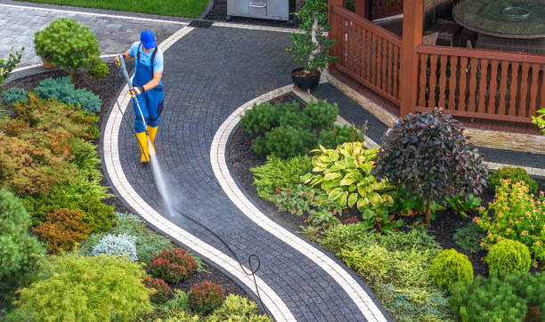 Best Affordable Pressure Washing  in Oquawka, IL