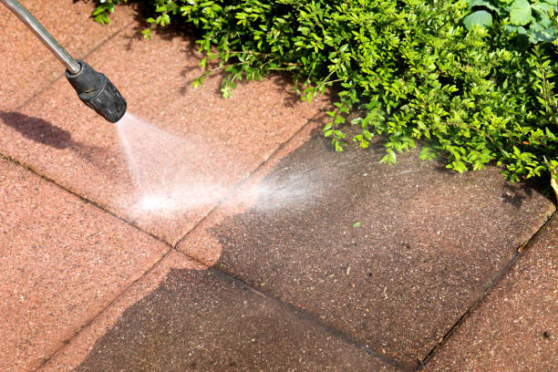 Best Commercial Building Pressure Washing  in Oquawka, IL
