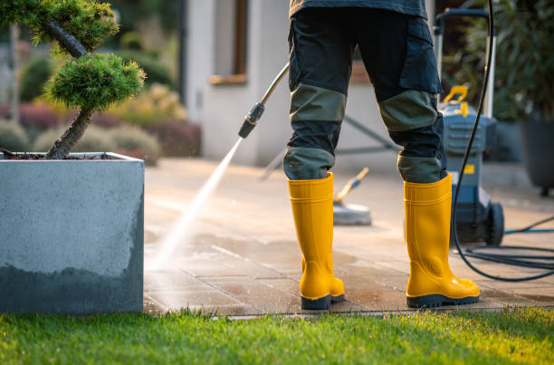 Best Roof Power Washing Services  in Oquawka, IL